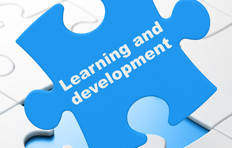 Learning and developemnt puzzle