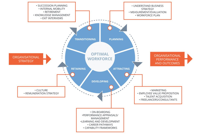 graphic schema