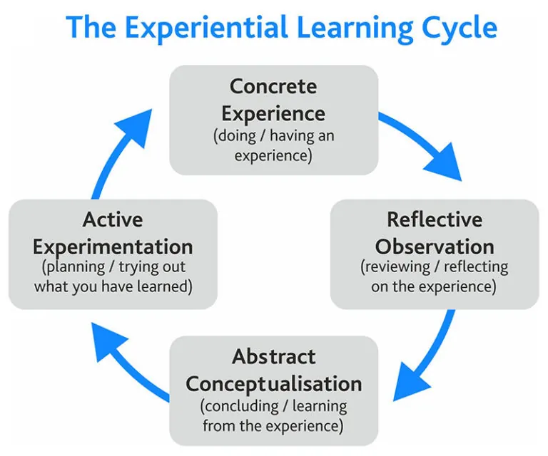 cycle model new