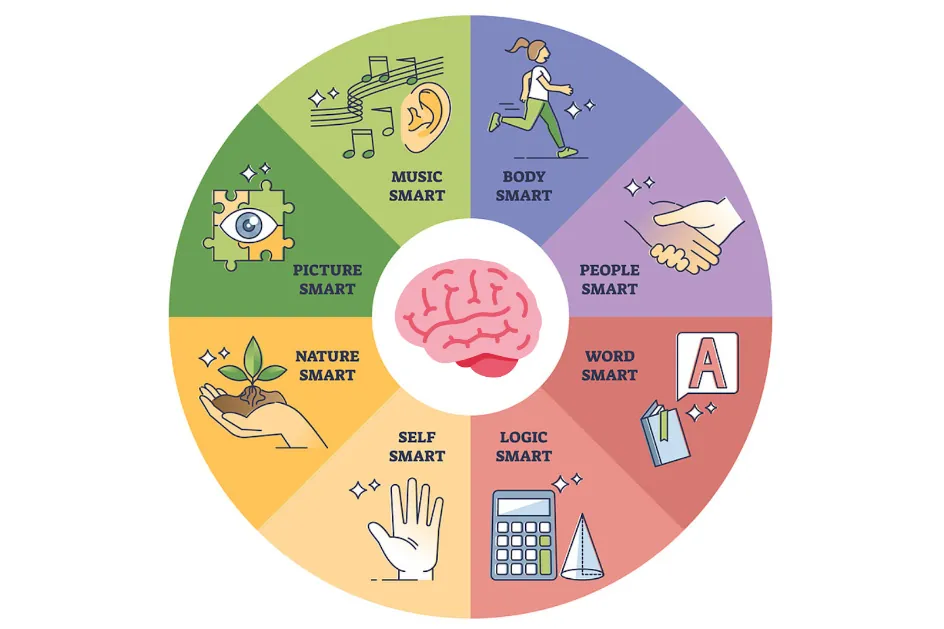 brain-diagramma