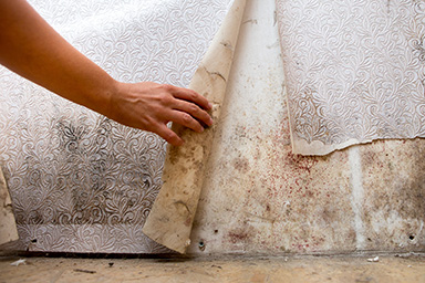 Girl-Found-Mold-In-The-Corner